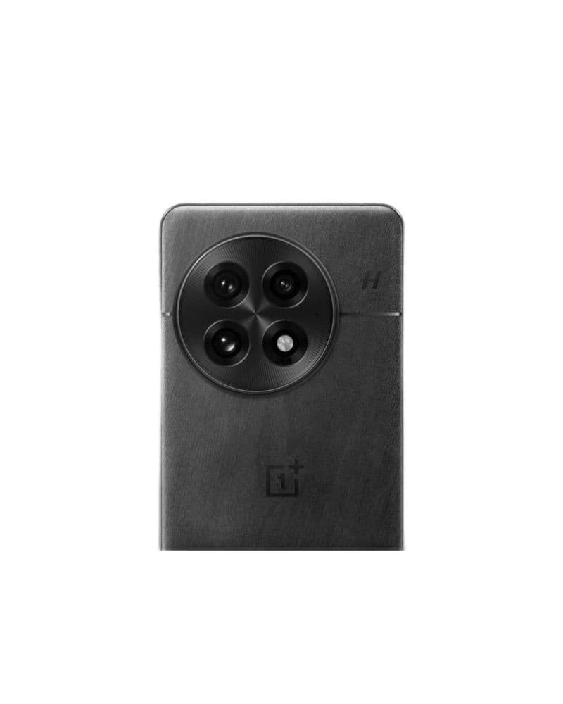 OnePlus 13